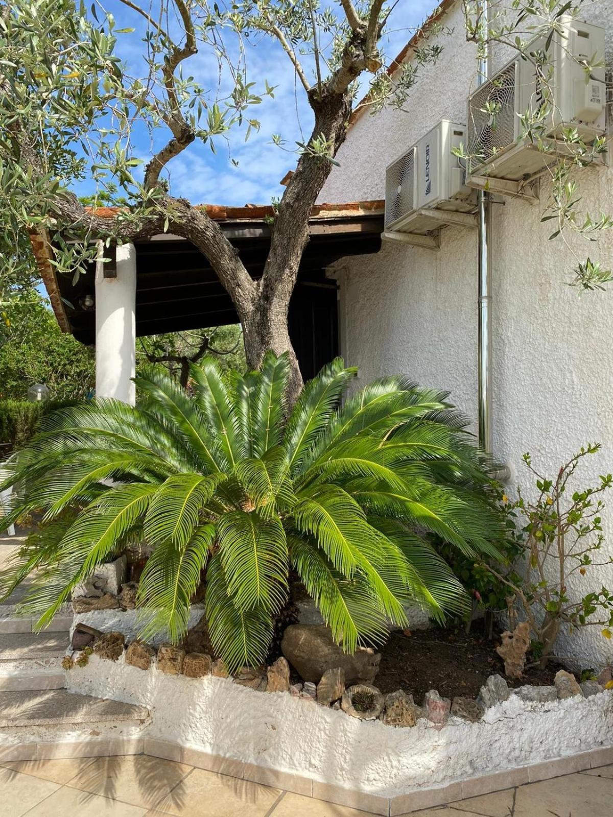 Domo Angheleda - Alghero Casa Indipendente Vicino Al Mare Kültér fotó