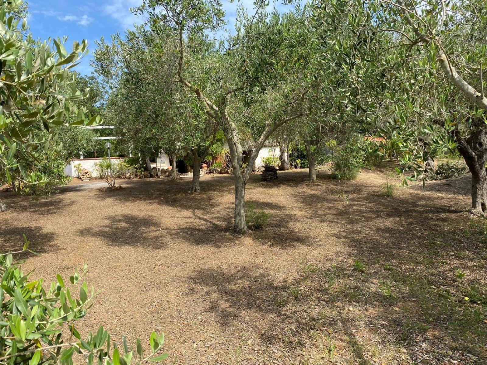 Domo Angheleda - Alghero Casa Indipendente Vicino Al Mare Kültér fotó